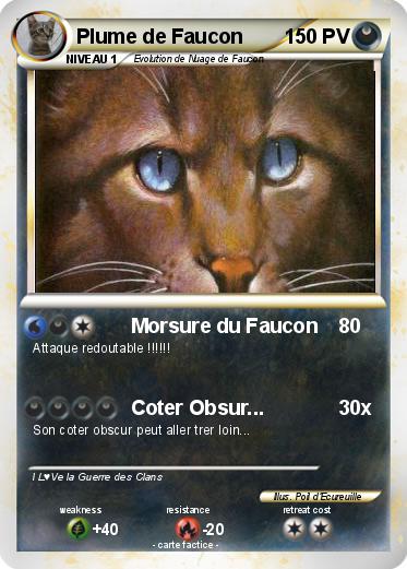 Pokemon Plume de Faucon