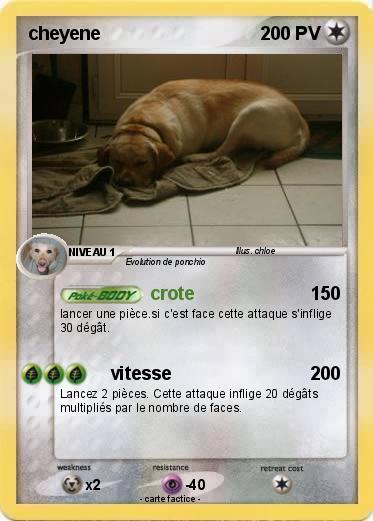 Pokemon cheyene