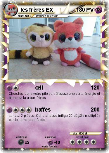 Pokemon les frères EX