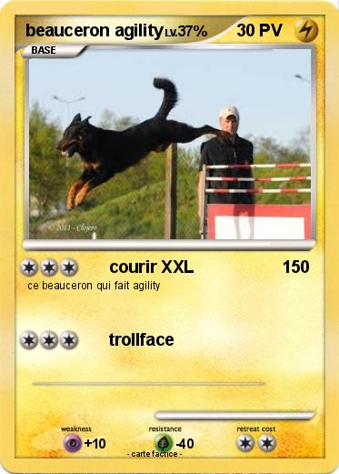 Pokemon beauceron agility