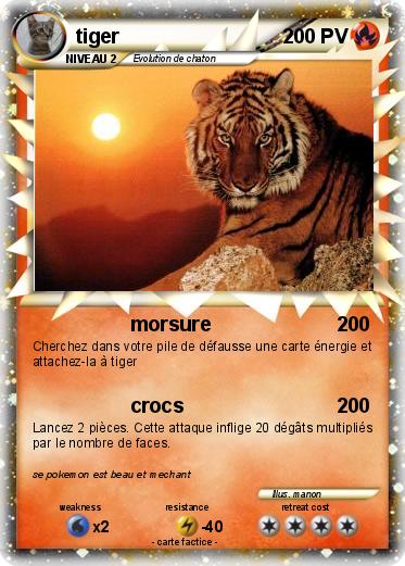 Pokemon tiger