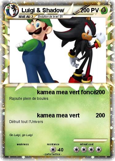 Pokemon Luigi & Shadow