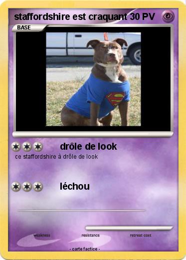 Pokemon staffordshire est craquant