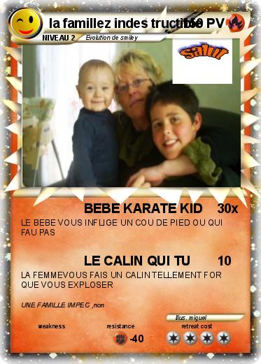Pokemon la famillez indes tructible