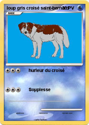 Pokemon loup gris croisé saint-bernard