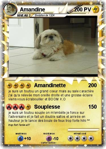 Pokemon Amandine