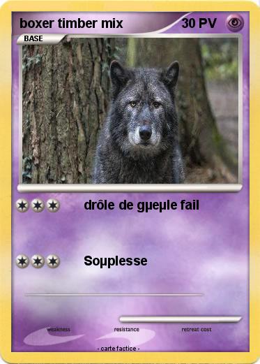 Pokemon boxer timber mix