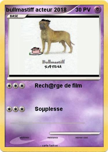 Pokemon bullmastiff acteur 2018
