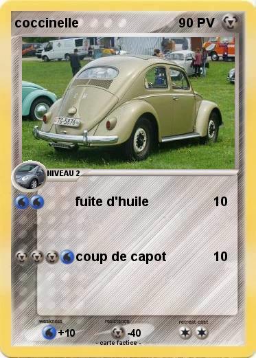 Pokemon coccinelle