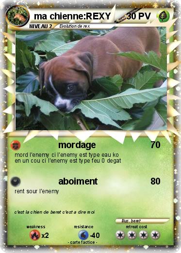 Pokemon ma chienne:REXY