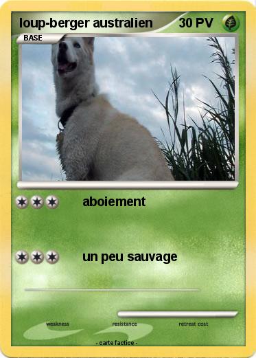 Pokemon loup-berger australien