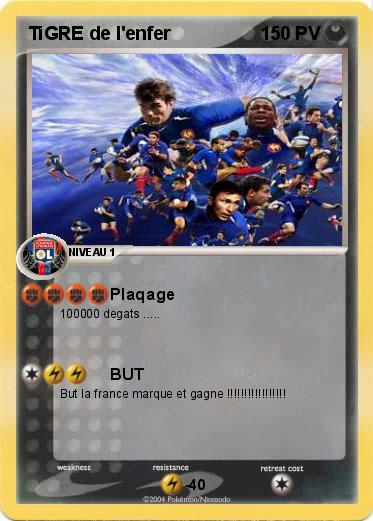 Pokemon TiGRE de l'enfer