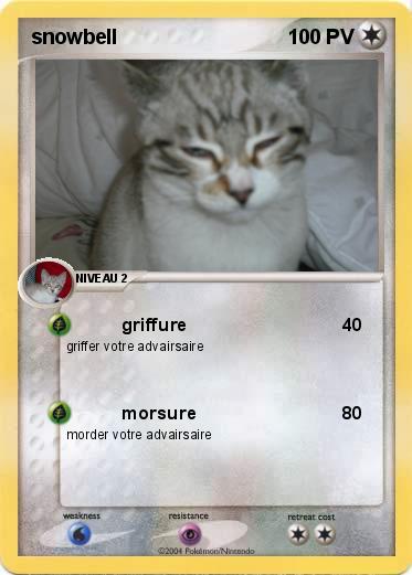Pokemon snowbell