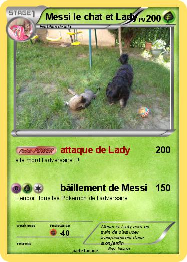 Pokemon Messi le chat et Lady