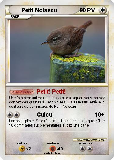 Pokemon Petit Noiseau
