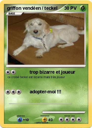 Pokemon griffon vendéen / teckel