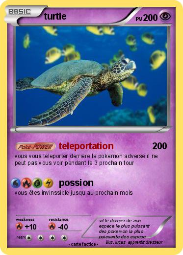 Pokemon turtle