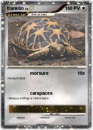Pokemon franklin