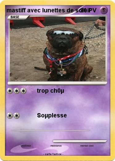 Pokemon mastiff avec lunettes de soleil