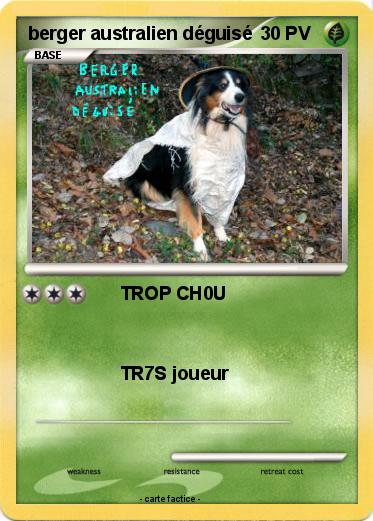 Pokemon berger australien déguisé