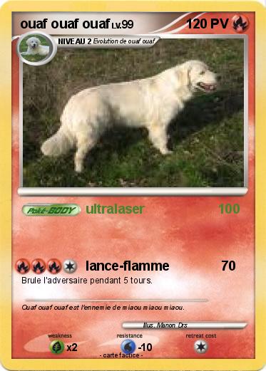 Pokemon ouaf ouaf ouaf