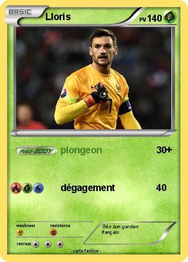 Pokemon Lloris