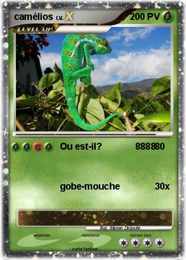 Pokemon camélios