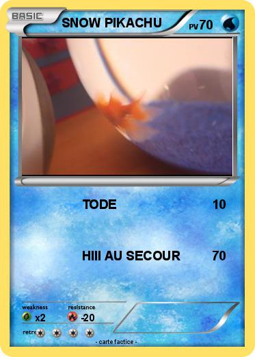 Pokemon SNOW PIKACHU