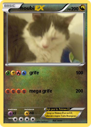 Pokemon houbi