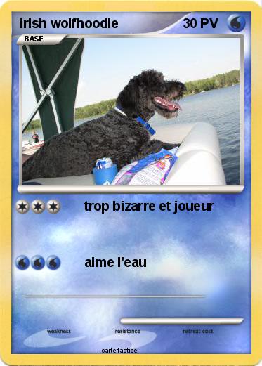 Pokemon irish wolfhoodle