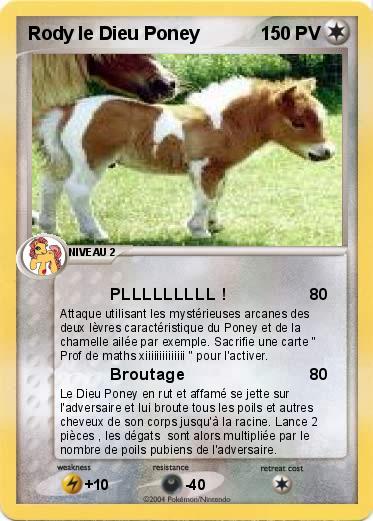 Pokemon Rody le Dieu Poney
