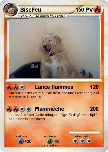 Pokemon BiscFeu