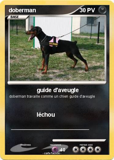 Pokemon doberman