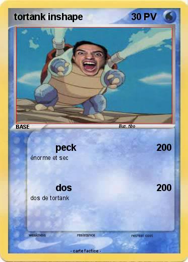 Pokemon tortank inshape
