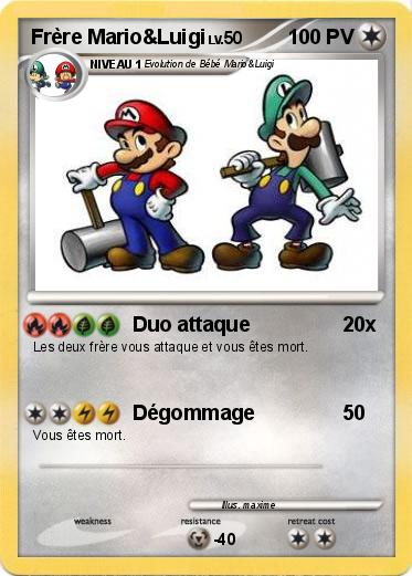Pokemon Frère Mario&Luigi