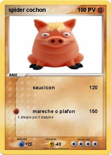 Pokemon spider cochon