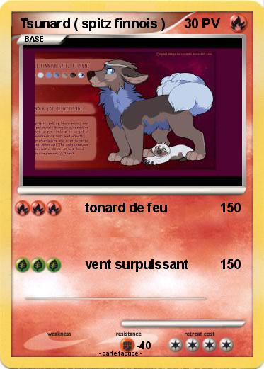 Pokemon Tsunard ( spitz finnois )