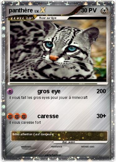 Pokemon panthère