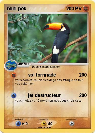 Pokemon mini pok