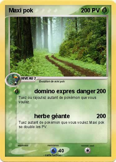 Pokemon Maxi pok