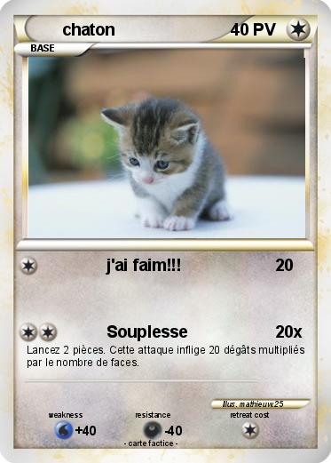 Pokemon chaton