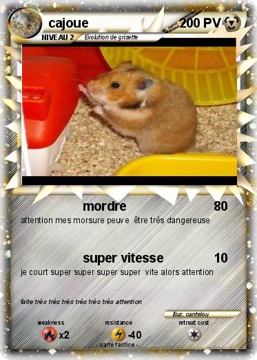 Pokemon cajoue