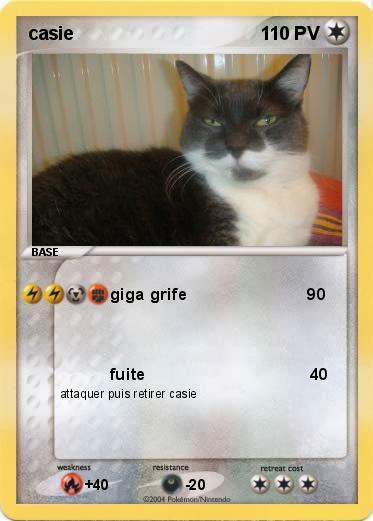 Pokemon casie