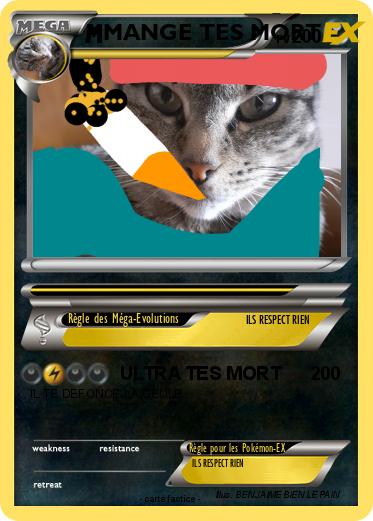 Pokemon MANGE TES MORT