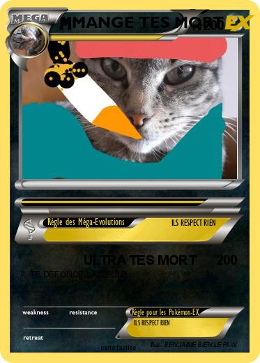 Pokemon MANGE TES MORT