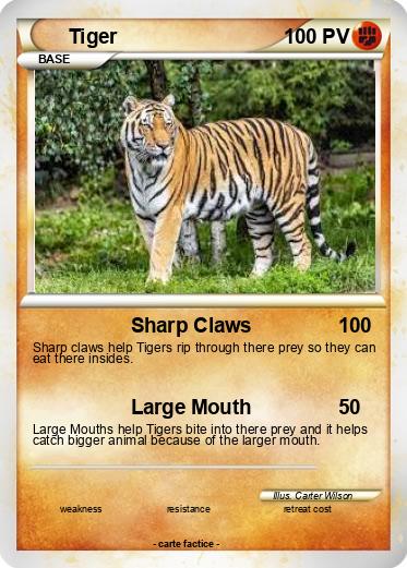 Pokemon Tiger
