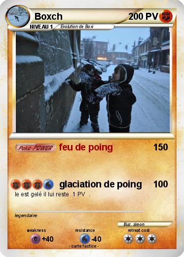 Pokemon Boxch