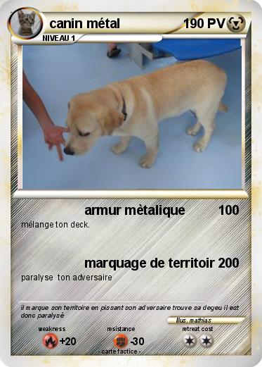 Pokemon canin métal