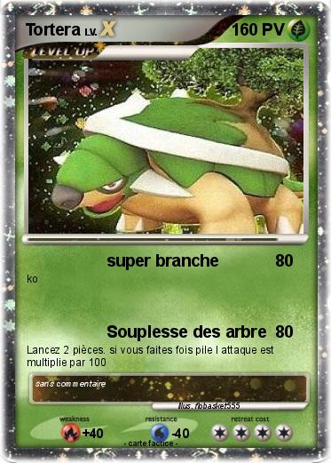 Pokemon Tortera