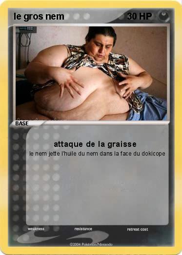 Pokemon le gros nem